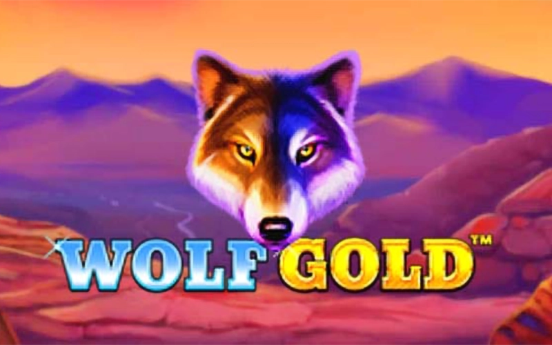 Jogue o popular caça-níquel Wolf Gold no Play Fortuna.