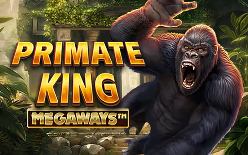 No Play Fortuna Casino, pode jogar a slot Primate King Megaways.